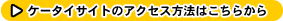 �P�[�^�C�T�C�g�̃A�N�Z�X���@�̓R�`��