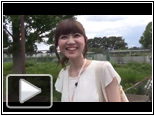 街美女File #136 KAORI