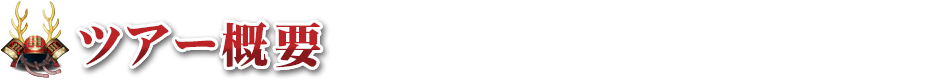 概要