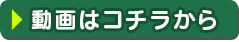 動画はコチラ