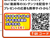 �P�C�^�C�T�C�g�̃A�N�Z�X���@�̓R�`������