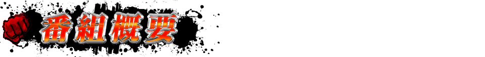 放送概要