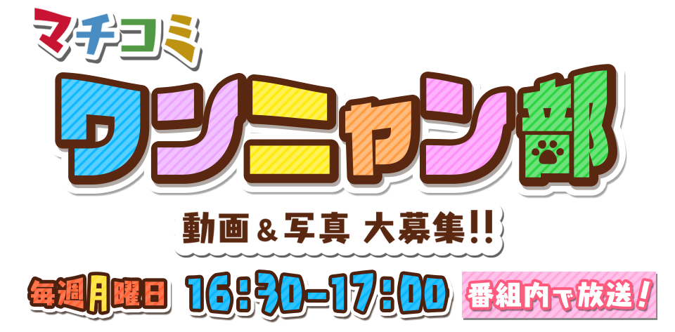 ～ほっとひといき、癒しの時間をお届けします～応募方法第１６回「アースダンボール賞」決定！第１５回「アースダンボール賞」決定！第１４回「アースダンボール賞」決定！第１３回「アースダンボール賞」決定！第１２回「アースダンボール賞」決定！第１１回「アースダンボール賞」決定！第１０回「アースダンボール賞」決定！第９回「アースダンボール賞」決定！第８回「アースダンボール賞」決定！第７回「アースダンボール賞」決定！第６回「アースダンボール賞」決定！第５回「アースダンボール賞」決定！第４回「アースダンボール賞」決定！第３回「アースダンボール賞」決定！第２回「アースダンボール賞」決定！第１回「アースダンボール賞」決定！第１０回「ねことも賞」決定！第９回「ねことも賞」決定！第８回「ねことも賞」決定！第７回「ねことも賞」決定！第６回「ねことも賞」決定！第５回「ねことも賞」決定！第４回「ねことも賞」決定！第３回「ねことも賞」決定！第２回「ねことも賞」決定！ご紹介したワンニャン動画＆写真