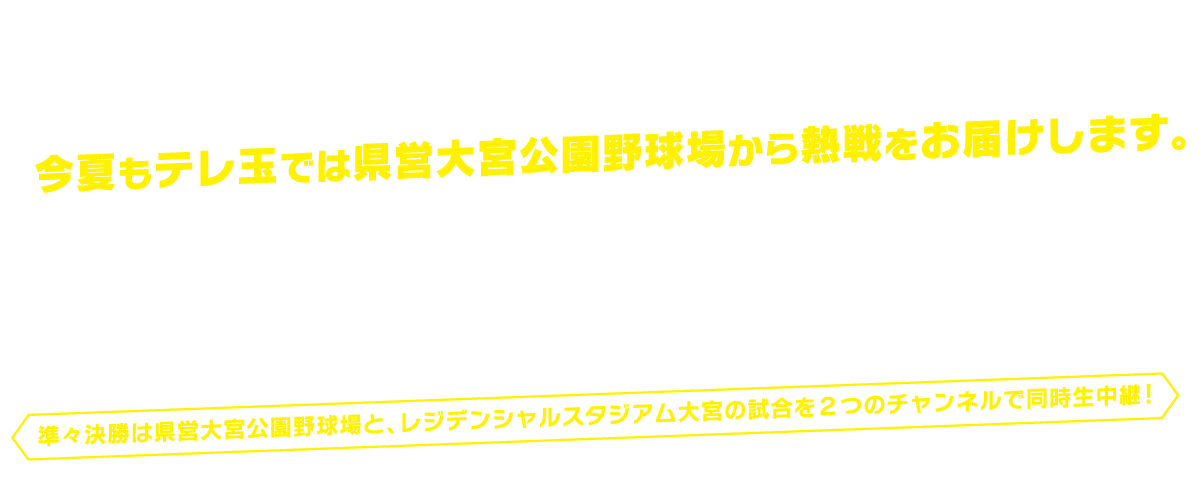 第107回　全国高等学校野球選手権記念埼玉大会『この夏、出しきれ。』