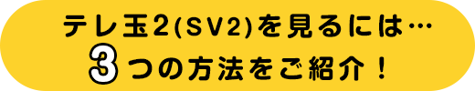 テレ玉2(SV2)を見るには… 3つの方法をご紹介！