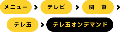 テレ玉モバイル インフォメーション テレ玉 地デジ3ch