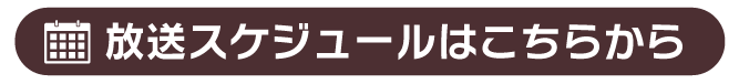 XPW[̓R`