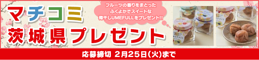マチコミ茨城県プレゼント