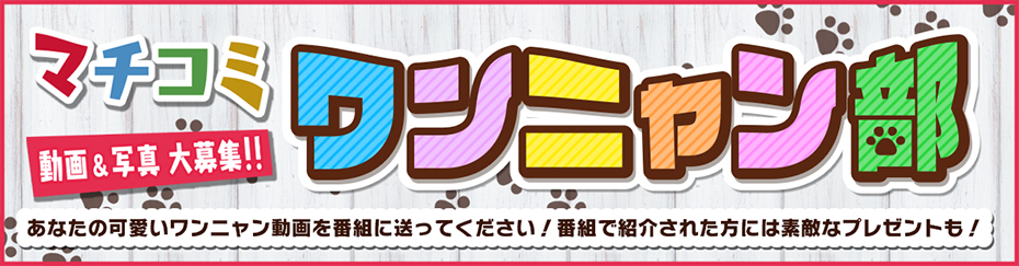 マチコミ「ワンニャン部」　メールフォーム