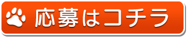 応募フォーム