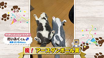 マチコミ「ワンニャン部」 | テレ玉/地デジ3ch