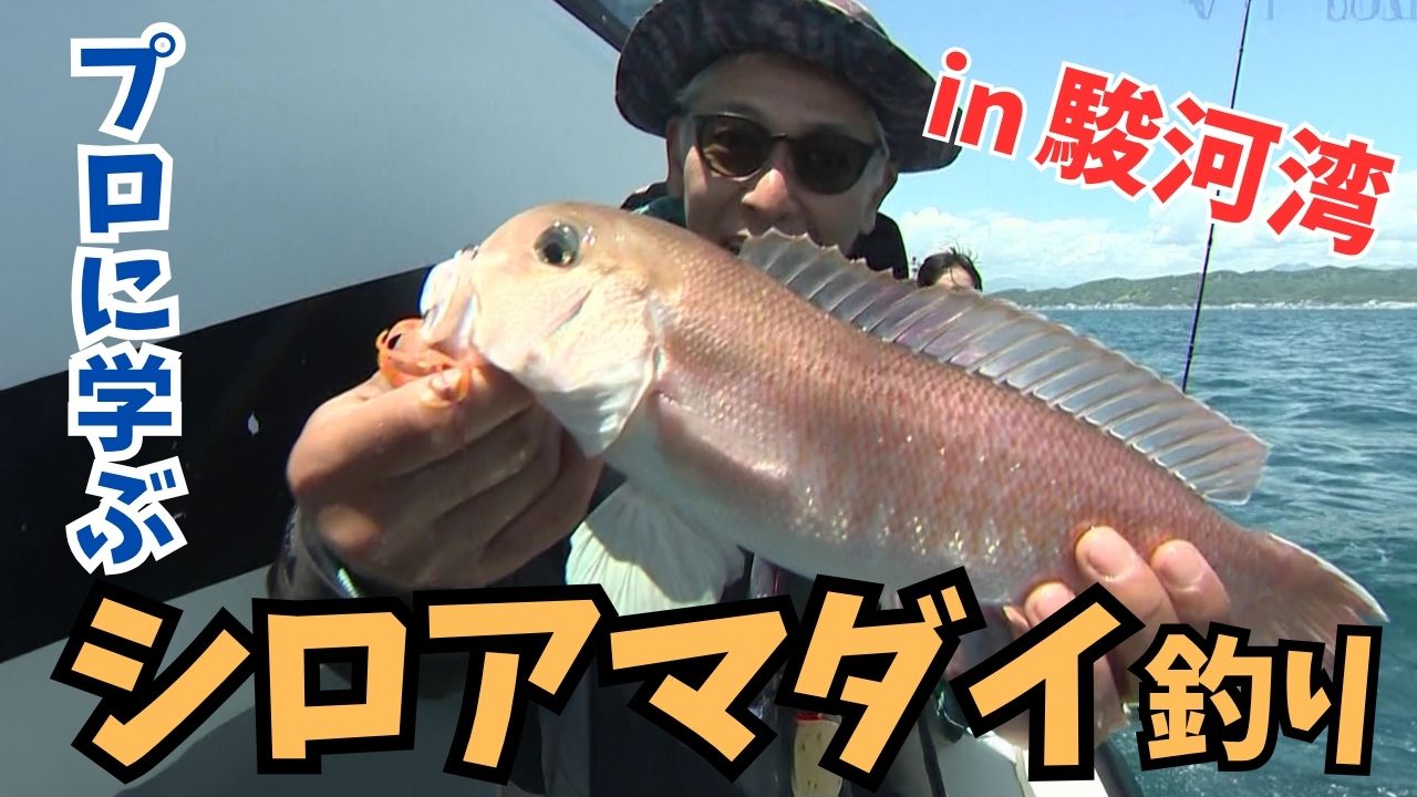 動画サムネイル