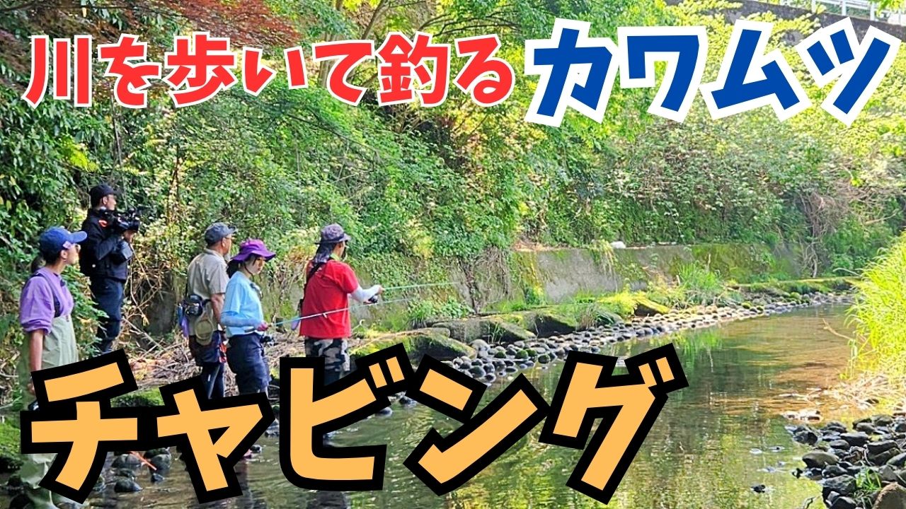 動画サムネイル