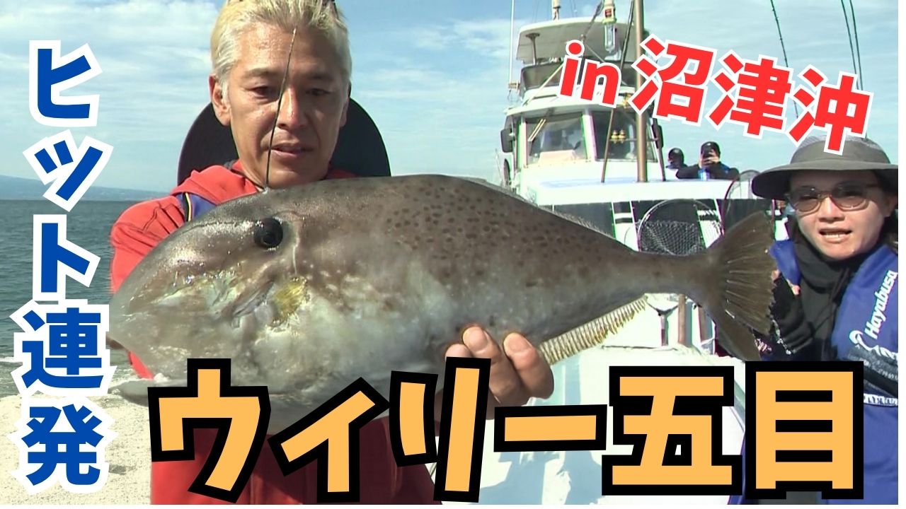 動画サムネイル