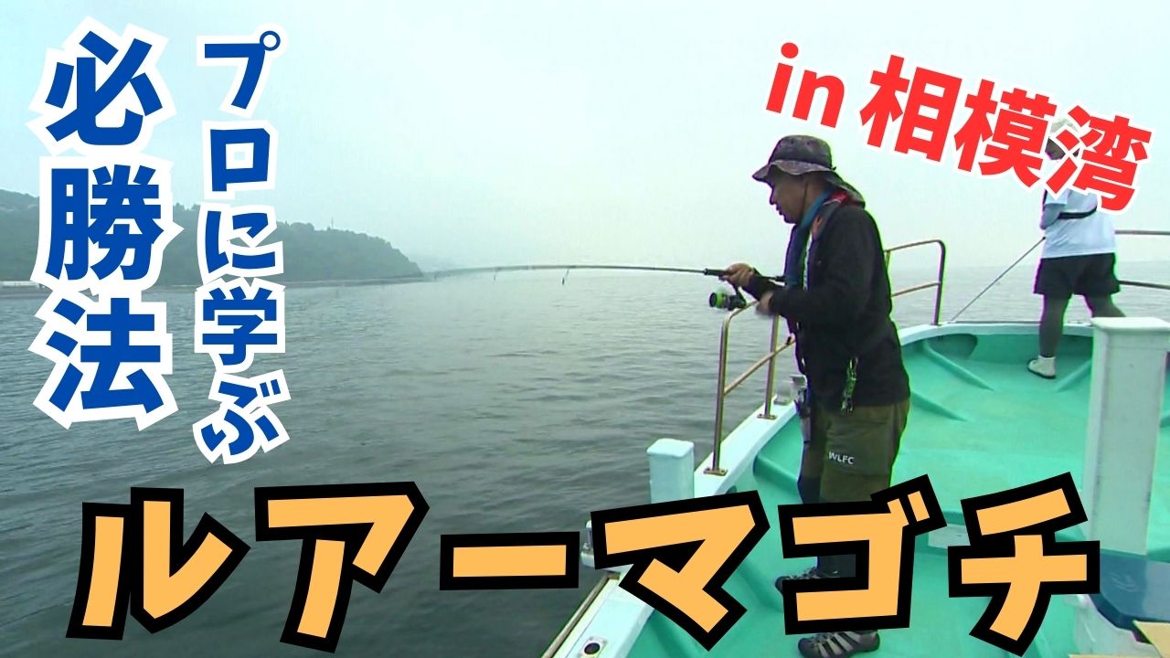 動画サムネイル