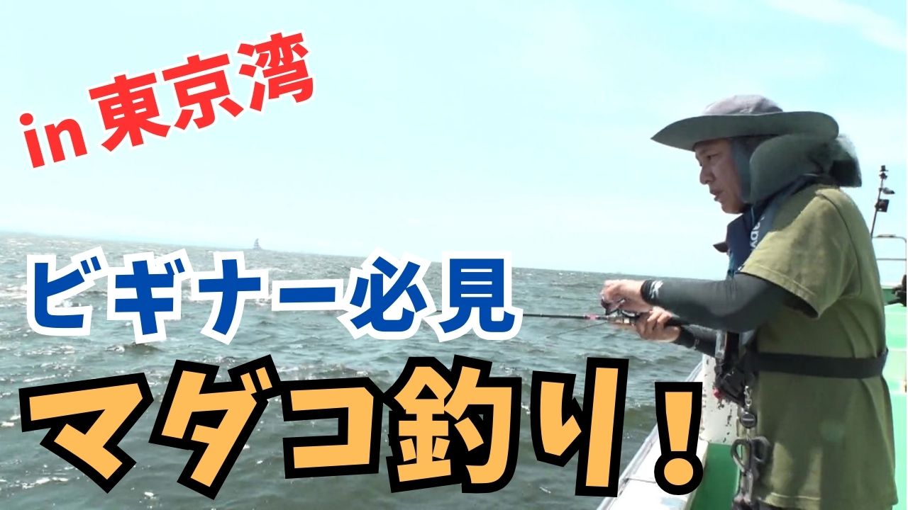 動画サムネイル