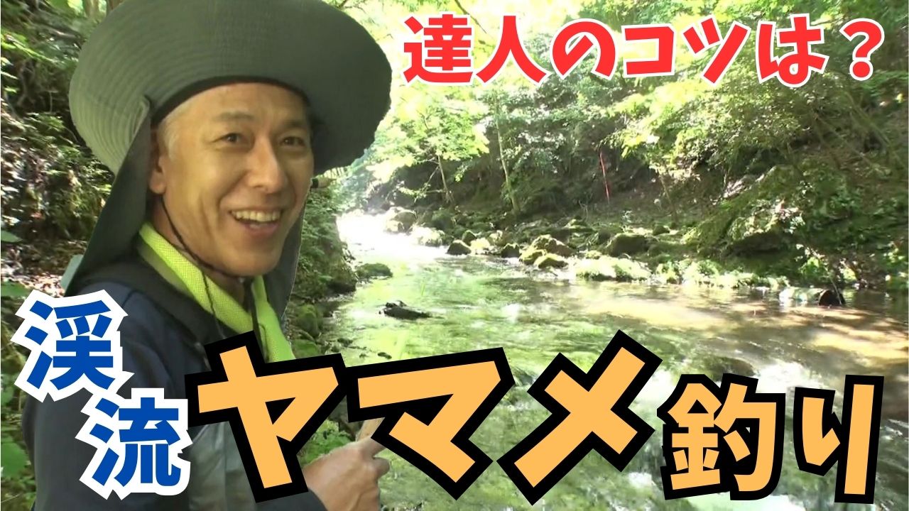 動画サムネイル