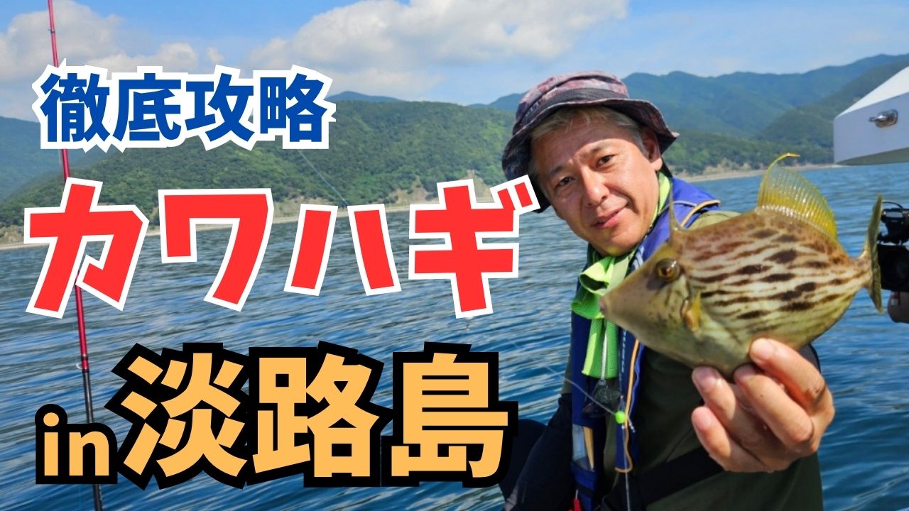 動画サムネイル