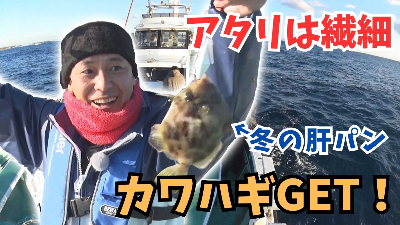 動画サムネイル