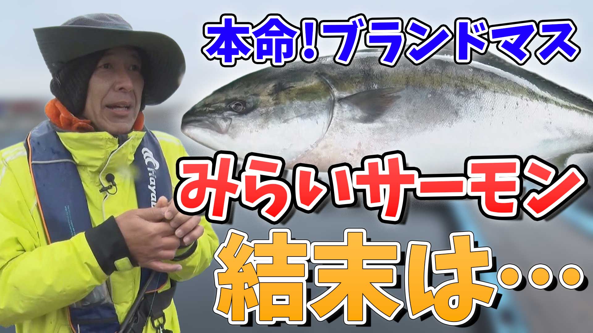動画サムネイル