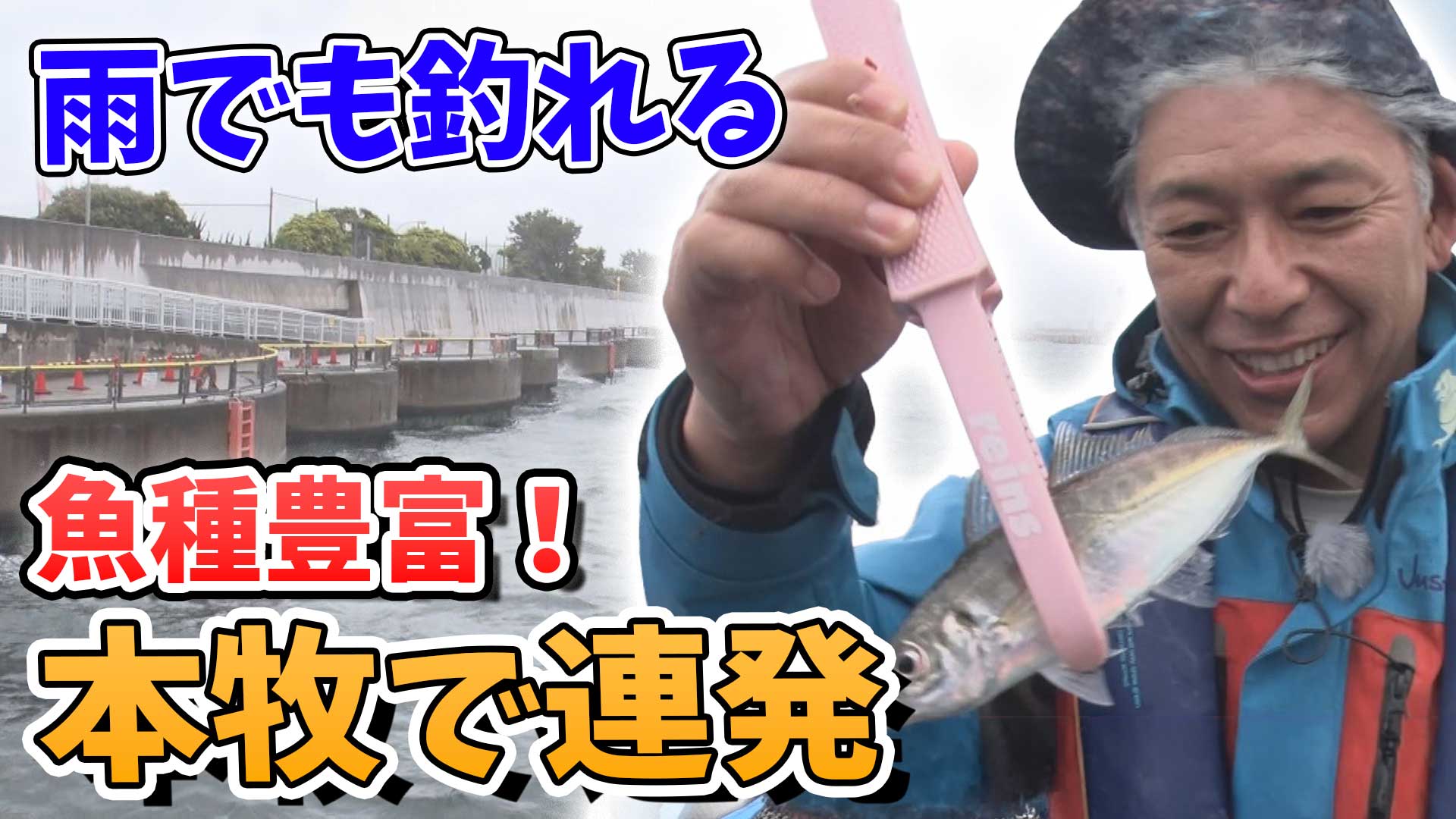 動画サムネイル