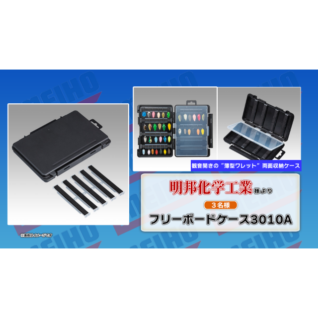 フリーボードケース3010A