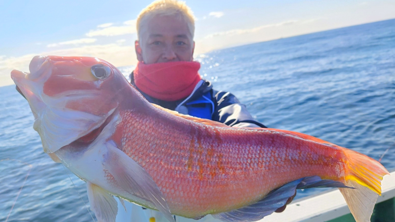 剣崎沖で冬の絶品アマダイを釣って食べよう！！アマダイ五⽬ならまかせろ！